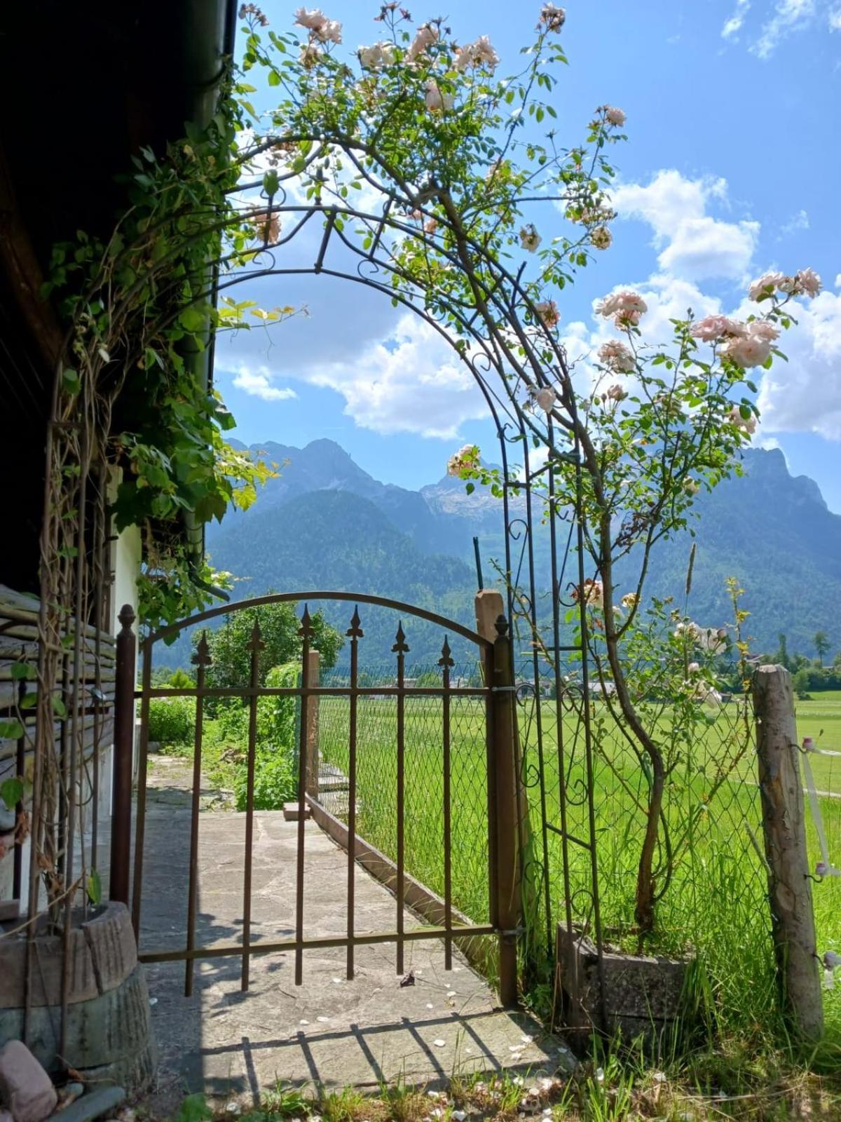Chalet Scheffsnoth Lofer Exterior foto