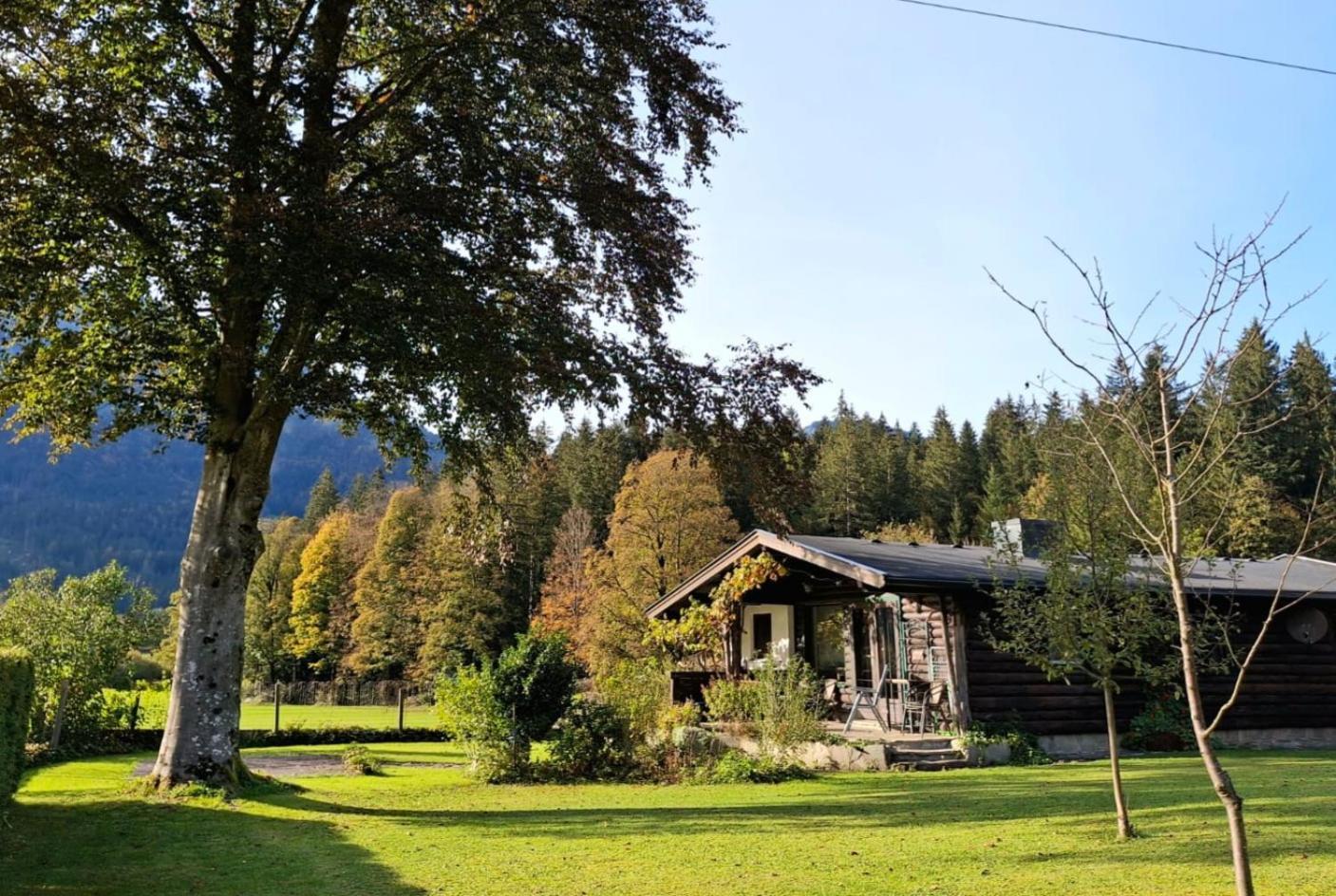 Chalet Scheffsnoth Lofer Exterior foto
