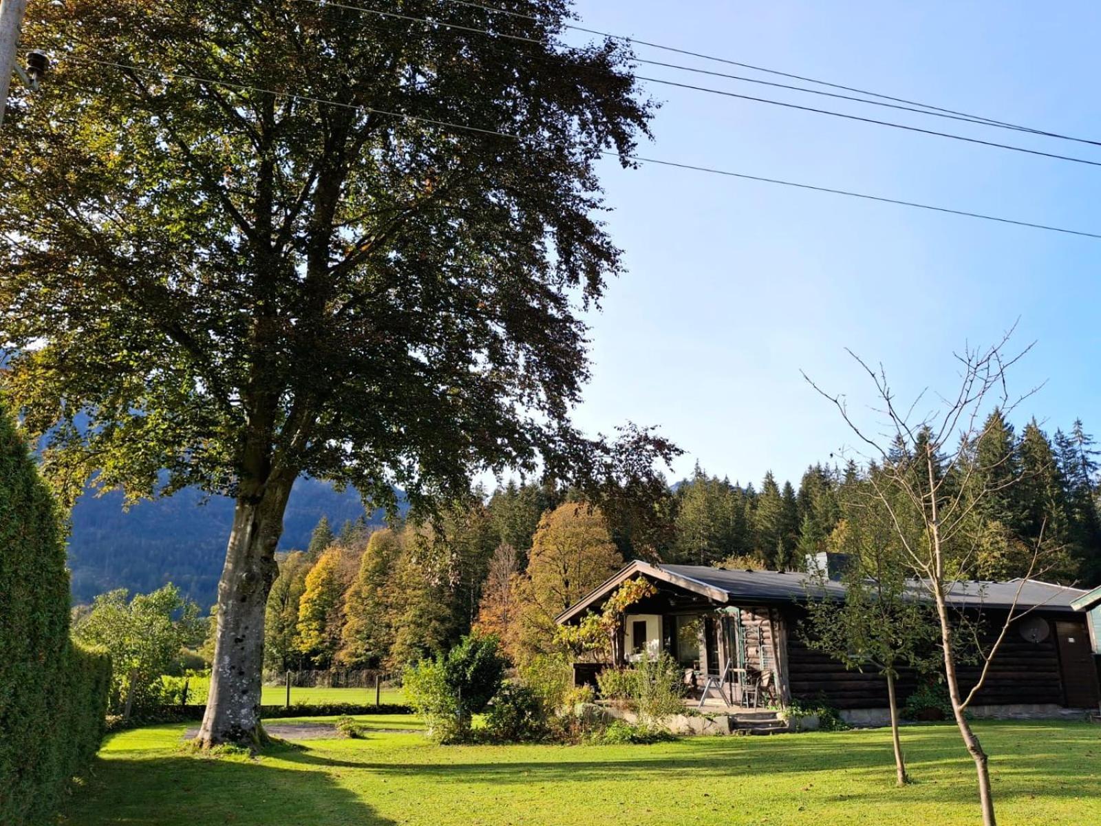 Chalet Scheffsnoth Lofer Exterior foto